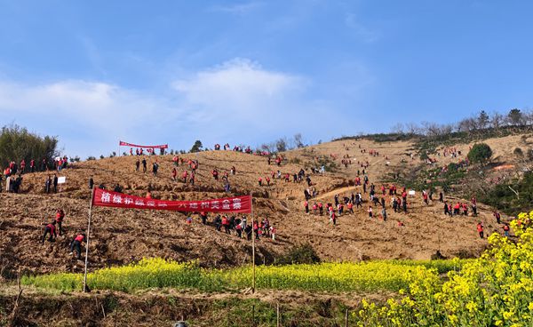 我縣開(kāi)展2026年義務(wù)植樹(shù)活動(dòng)